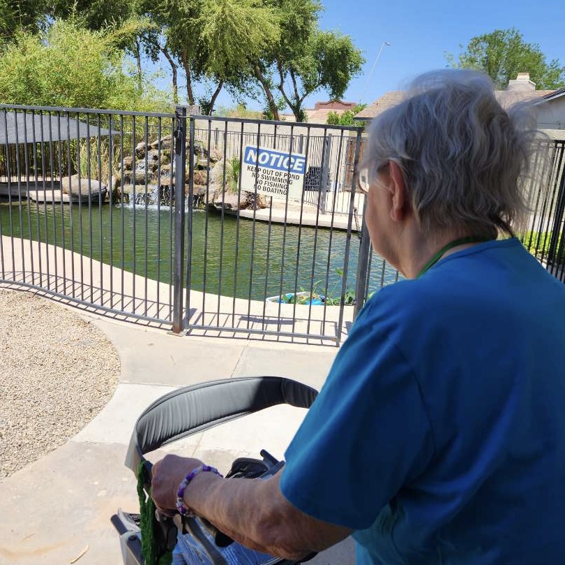 Senior Living Options